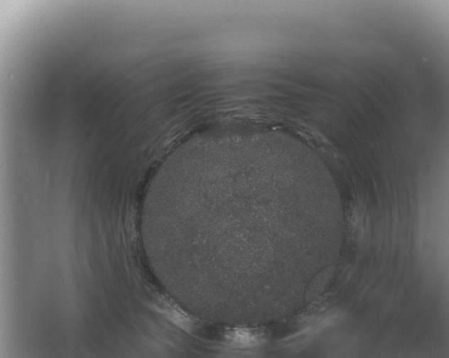 X0000062630565200512231016