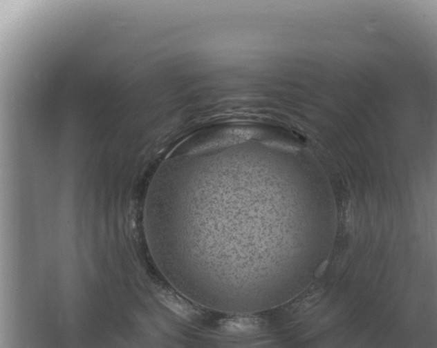 X0000062630567200512231017