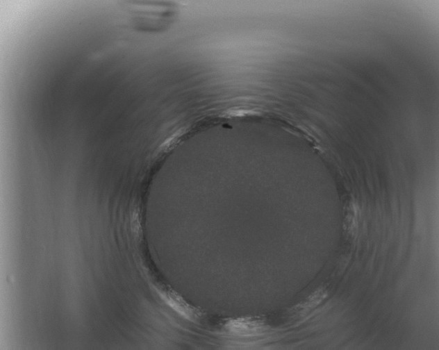 X0000062630568200512231017