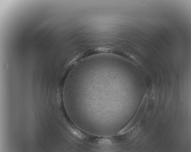 X0000062630572200512231017