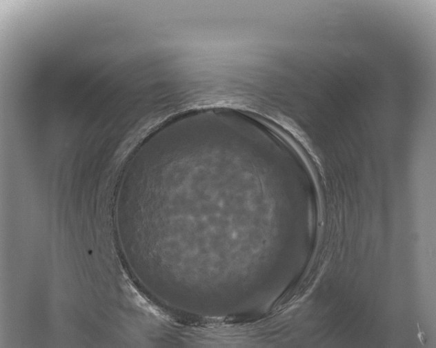 X0000062630577200512231016