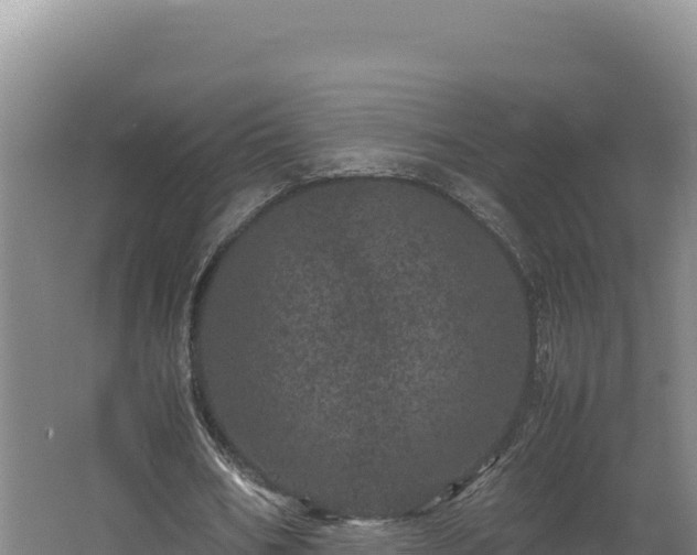 X0000062630578200512231016