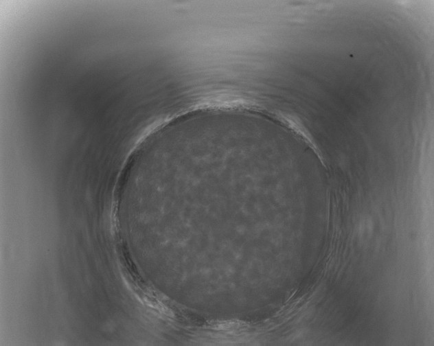 X0000062630579200512231016