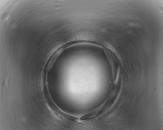 X0000062630580200512231016