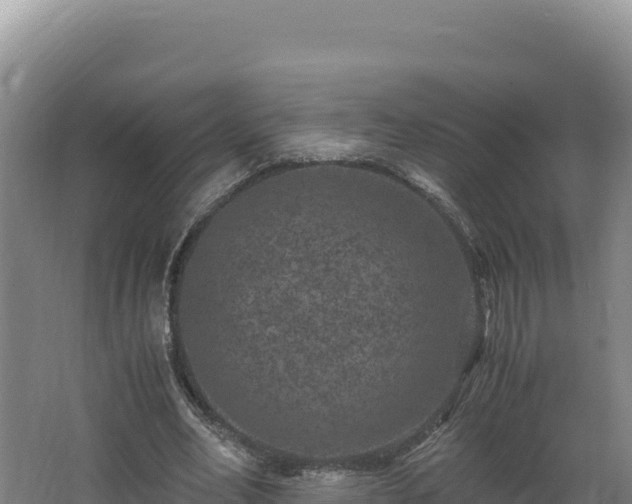 X0000062630582200512231016