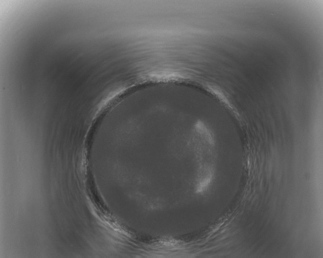 X0000062630583200512231016