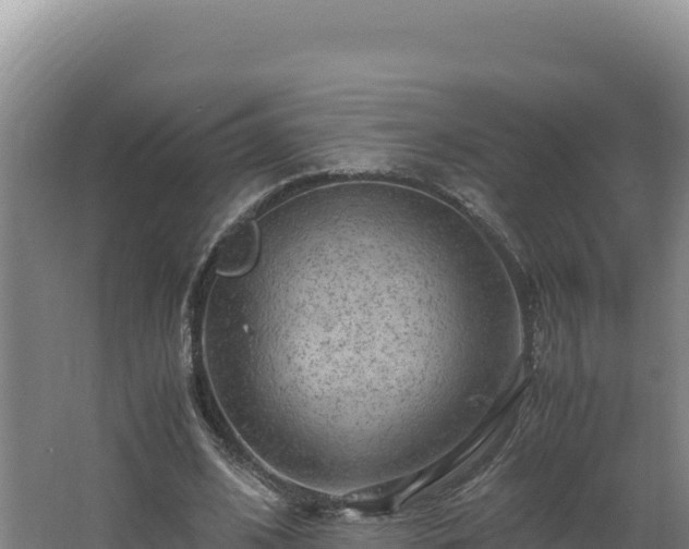 X0000062630584200512231016