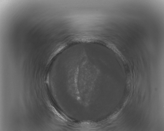 X0000062630585200512231016