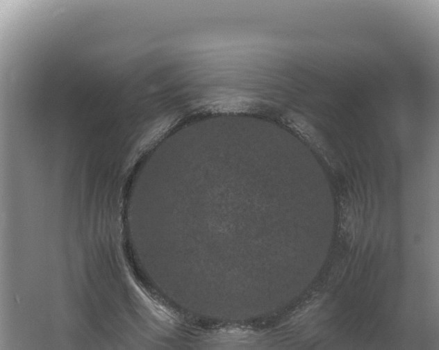 X0000062630586200512231016