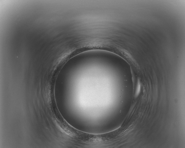 X0000062630588200512231016