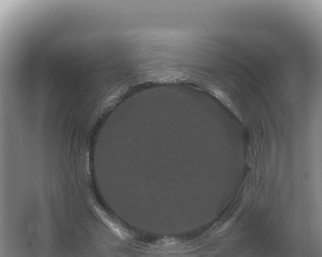 X0000062630589200512231016