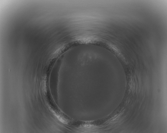 X0000062630590200512231016