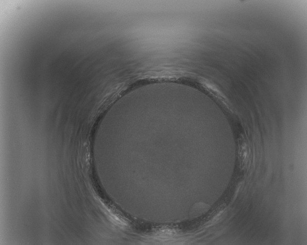 X0000062630593200512231016