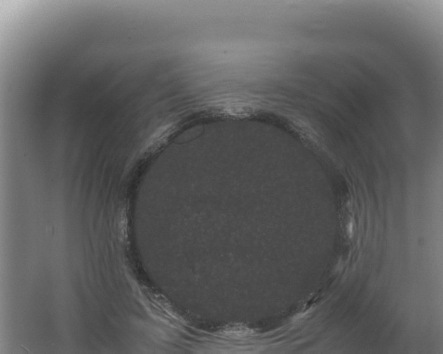 X0000062630595200512231016