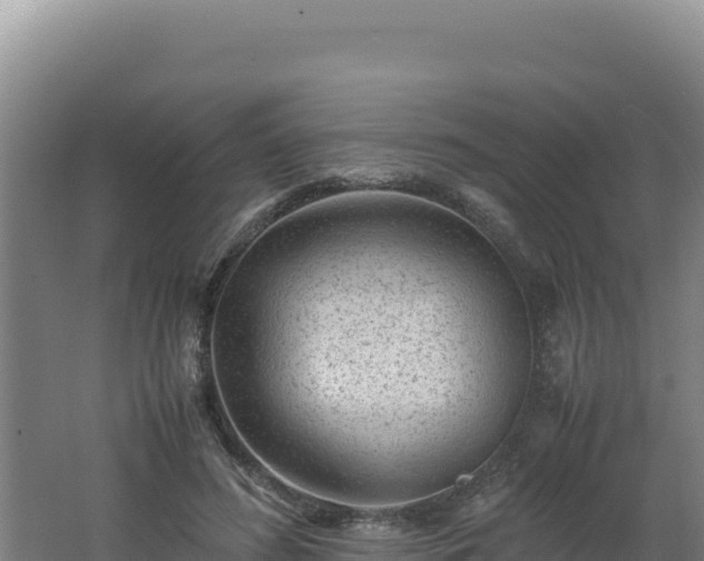 X0000062630596200512231016