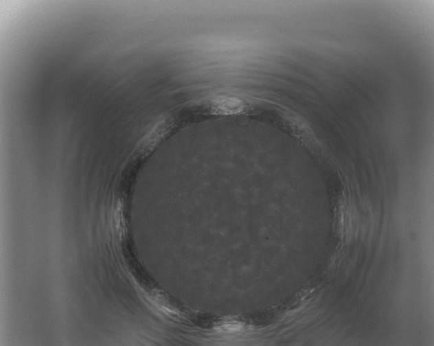 X0000062630598200512231015