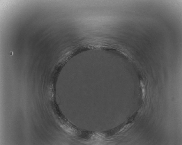 X0000062630599200512231015