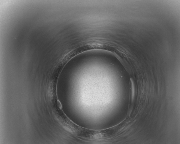 X0000062630600200512231015