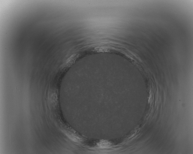 X0000062630603200512231015