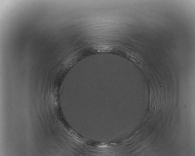 X0000062630604200512231015