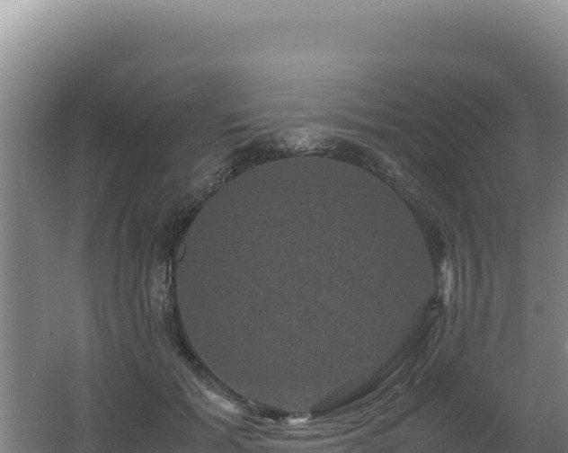 X0000062630605200512231015