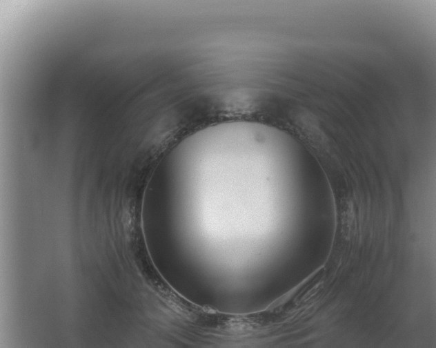 X0000062630608200512231015