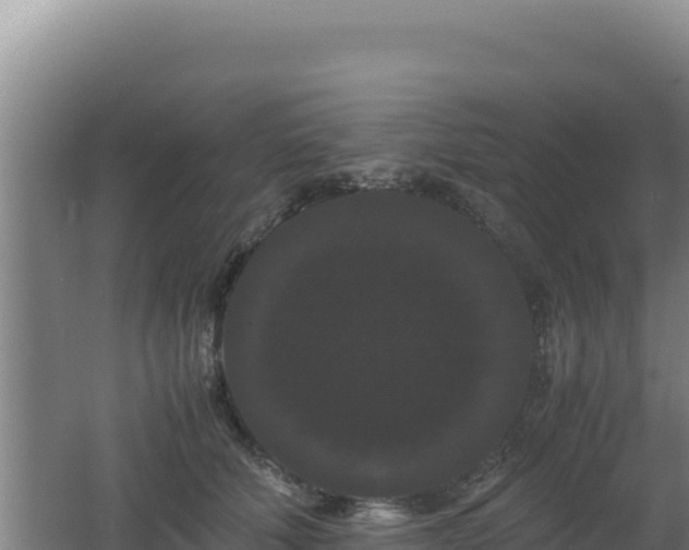 X0000062630610200512231015