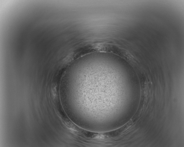 X0000062630611200512231015