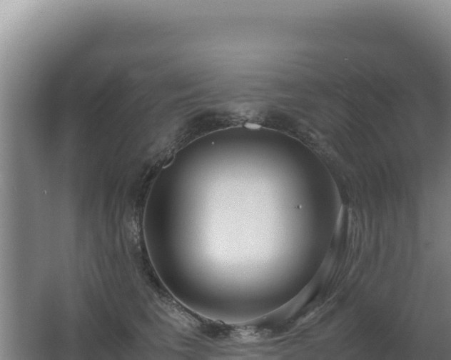 X0000062630613200512231015