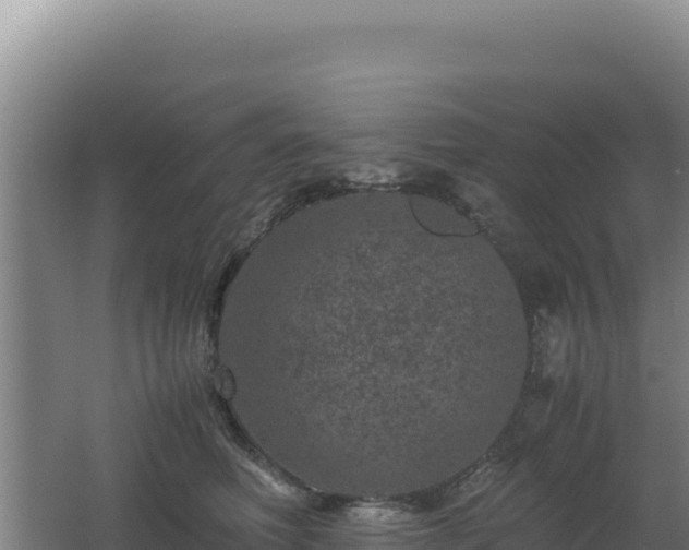 X0000062630614200512231015