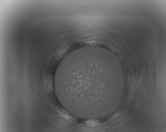 X0000062630615200512231015