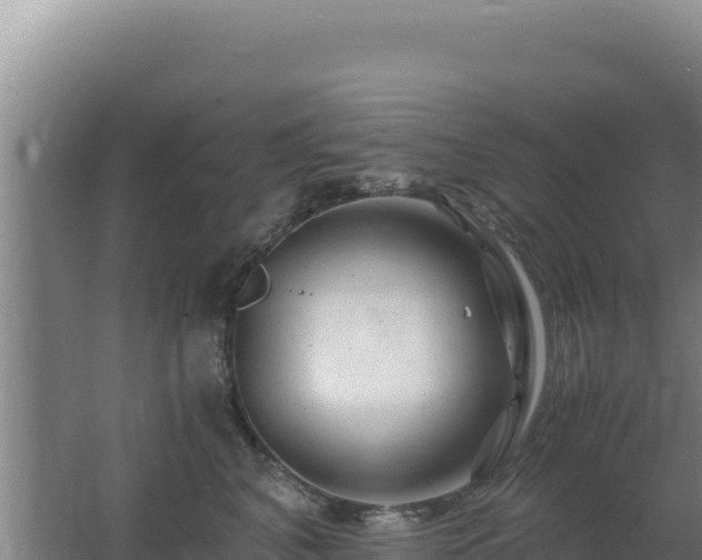 X0000062630616200512231015