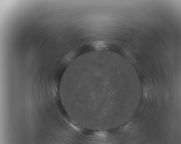 X0000062630618200512231015