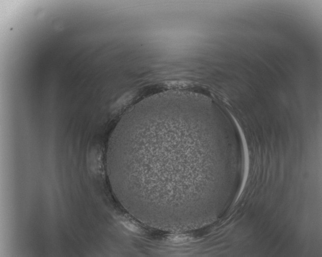 X0000062630619200512231015