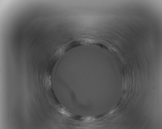 X0000062630621200512231015