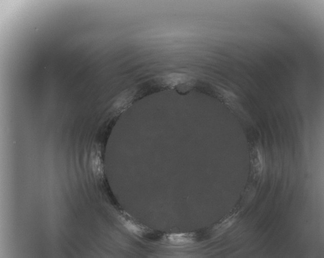 X0000062630622200512231015