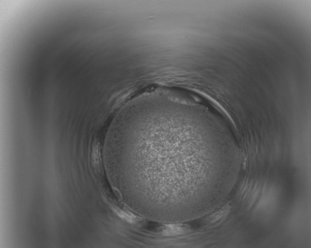 X0000062630623200512231015