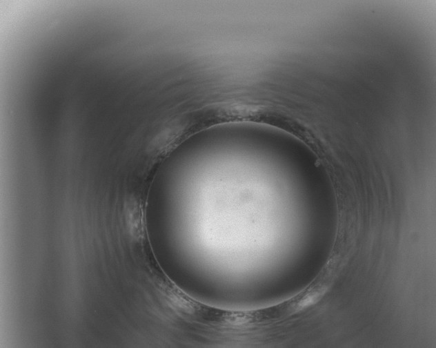 X0000062630624200512231015