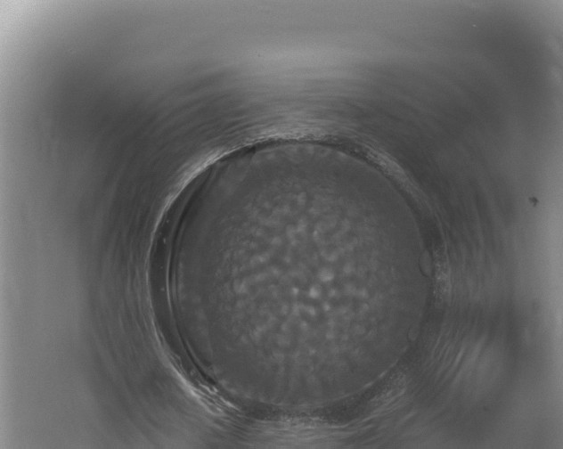 X0000062630626200512231014