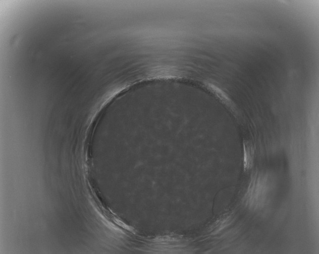 X0000062630627200512231014