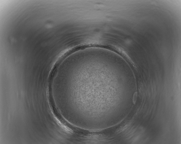 X0000062630629200512231014