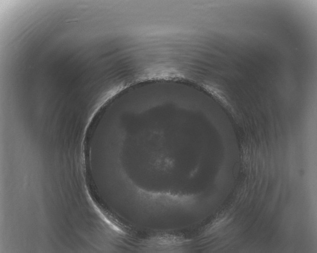 X0000062630630200512231014