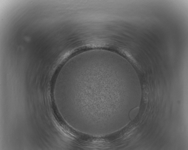 X0000062630631200512231014