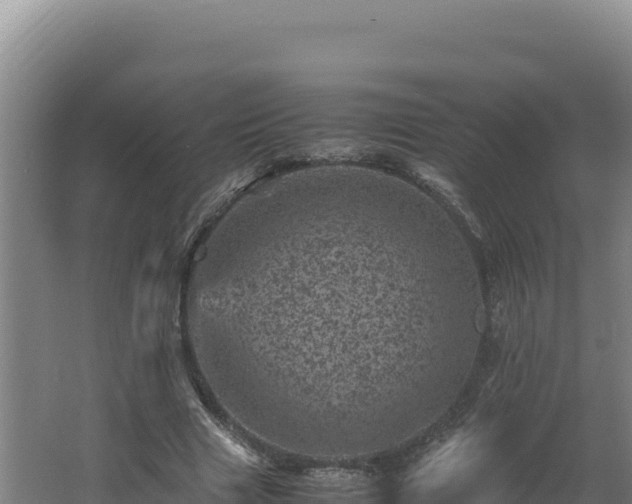 X0000062630633200512231014