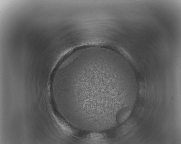 X0000062630636200512231014