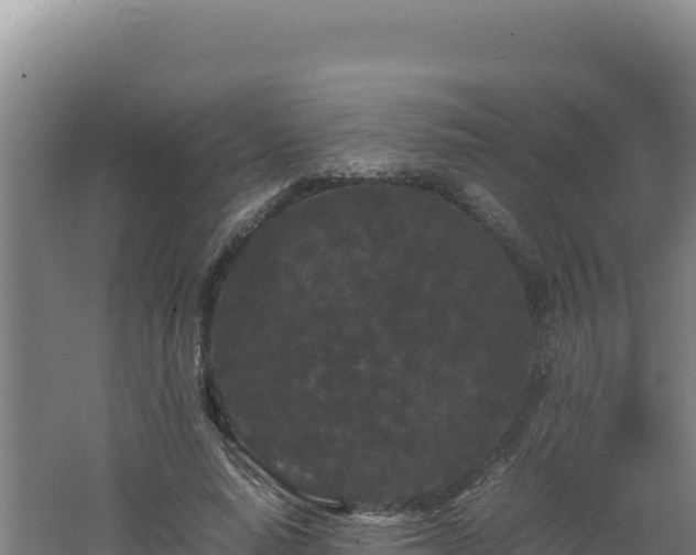 X0000062630640200512231014