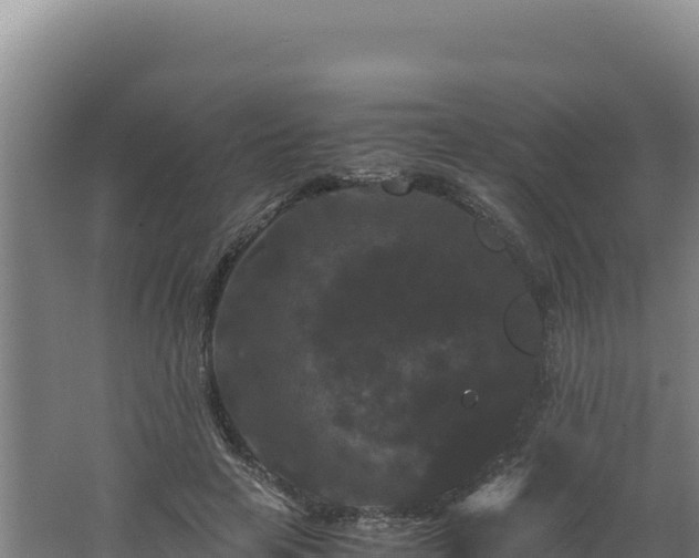 X0000062630641200512231014