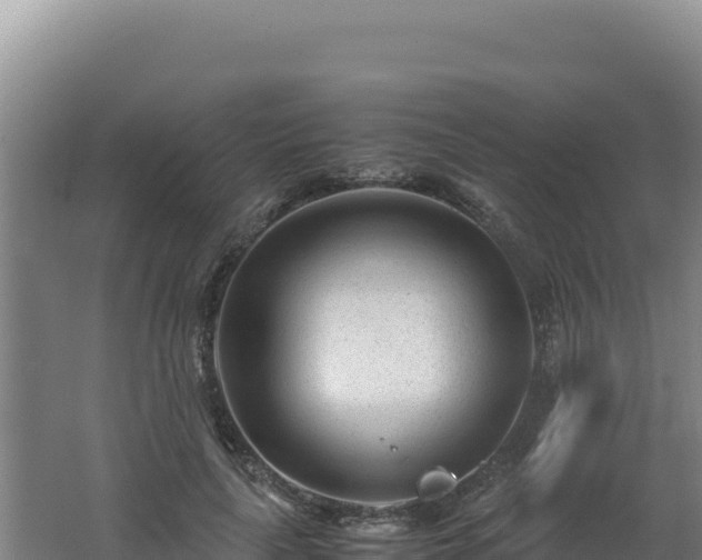 X0000062630643200512231014