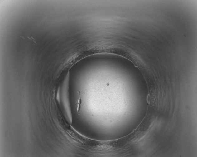 X0000062630644200512231015