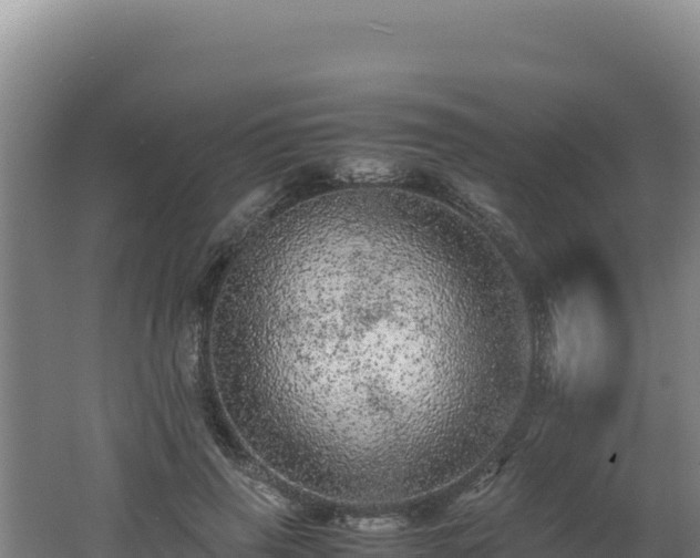 X0000062630645200512231015